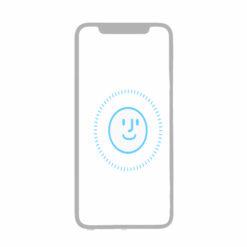 iPhone 11Pro Face ID Reparatur